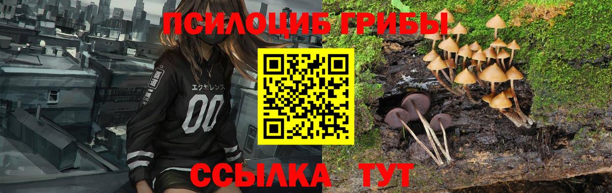 Псилоцибиновые грибы мухоморы Муром